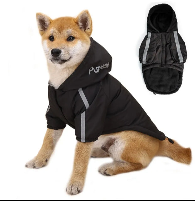 Dog Hoodie - The Dog Face